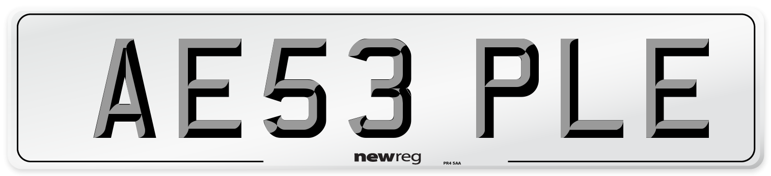 AE53 PLE Number Plate from New Reg